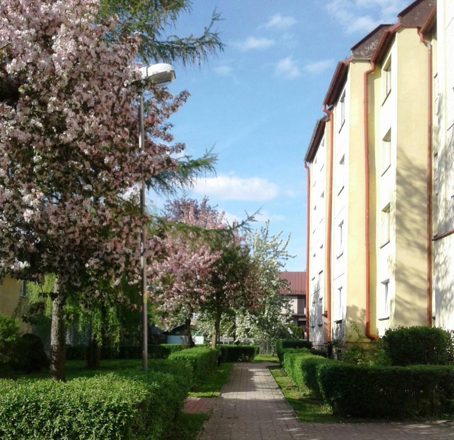 库多瓦-兹德鲁伊Apartament Jasminowy公寓 外观 照片